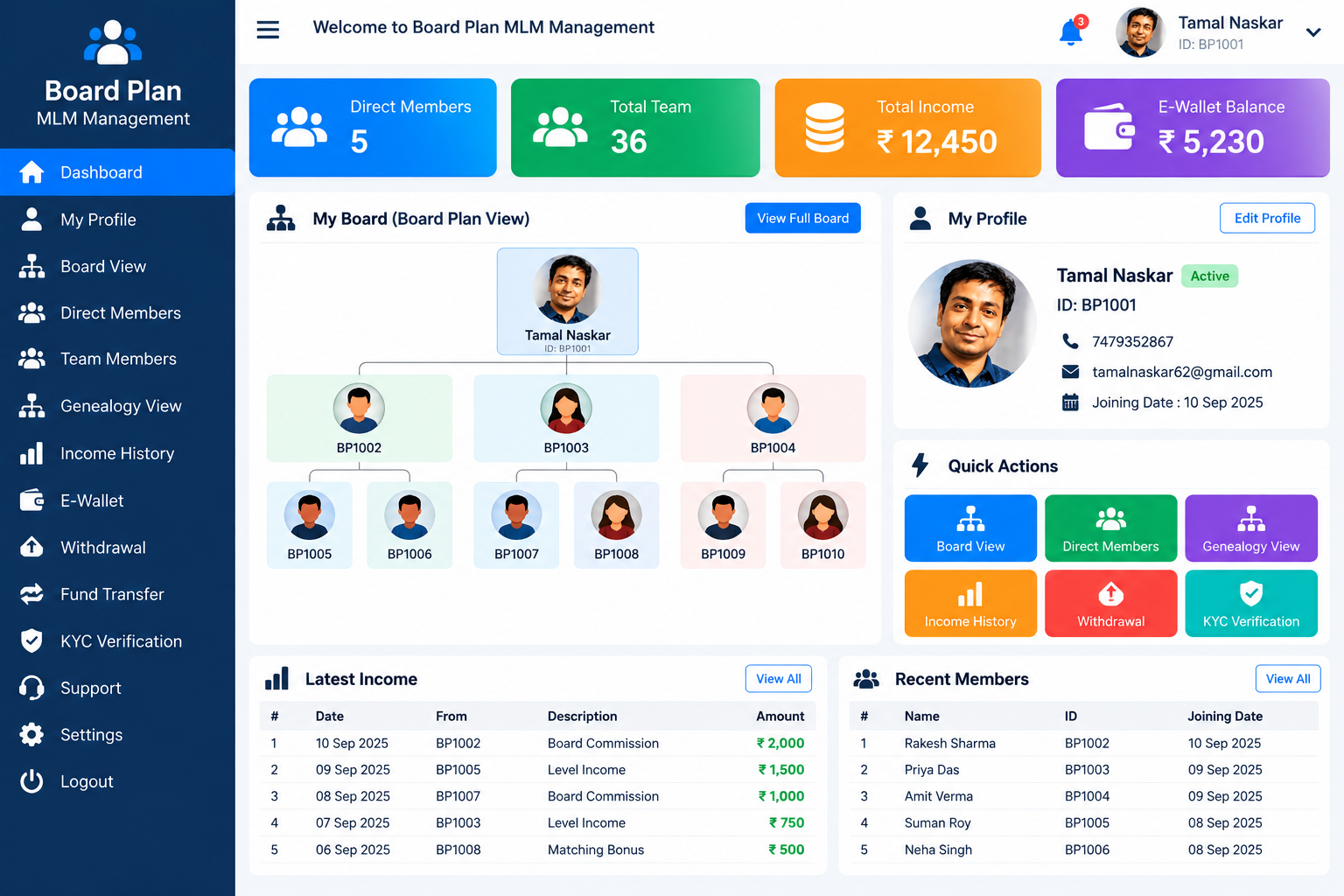 Board Plan MLM System Dashboard