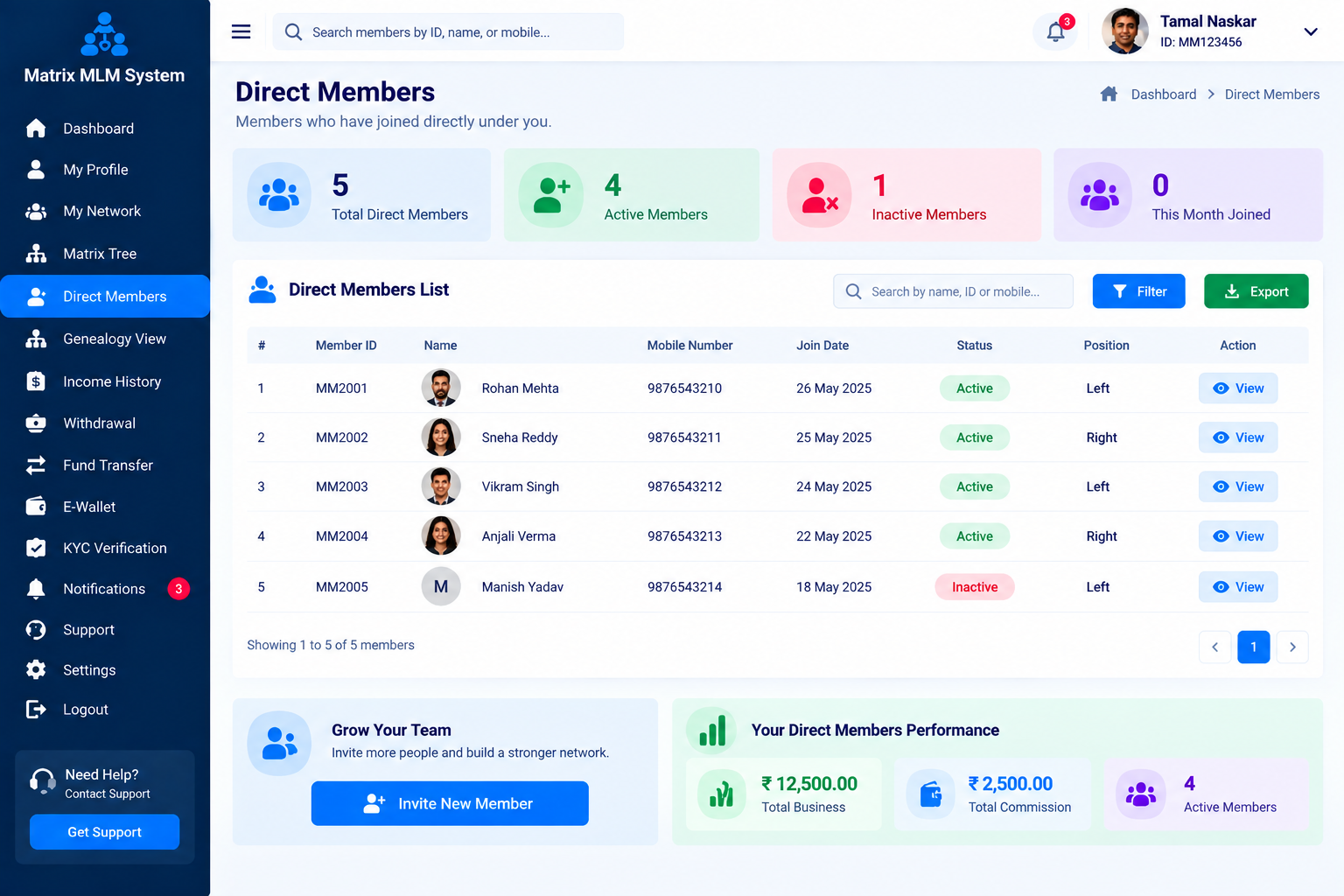 Matrix MLM Network
